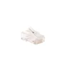 Conector RJ45 Cat 6 Powest UTP plástico alto impacto 10 unidades